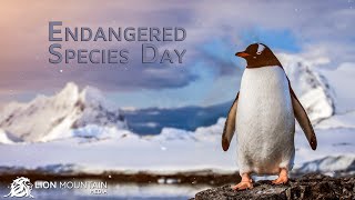 Endangered Species Day 2022 [upl. by Evelina]