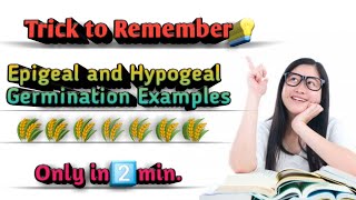 Trick to remember Epigeal germination and hypogeal germination examples [upl. by Elicul862]