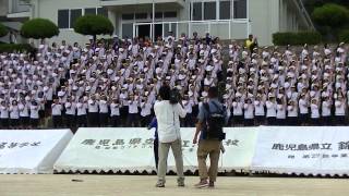 錦江湾高校名物トレロカモミロ2013体育祭（ミラクルトレロ） [upl. by Lilian]