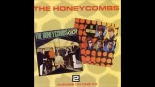 The Honeycombs Our day will come [upl. by Gadmon]