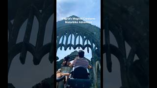 Best coaster ever Hagrid’s Magical Creatures Motorbike Adventure harrypotter universalstudios [upl. by Dietsche843]