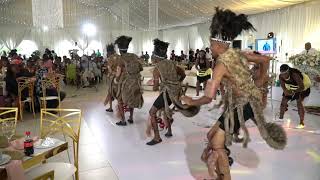 Zimbabwe Traditional Dance Performance  Wedding [upl. by Stesha217]