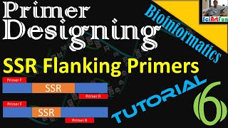 Primer Designing  SSR Flanking Primers Using BatchPrimer3  Tutorial 6  When the Tool Works [upl. by Cindee]