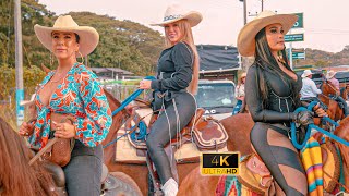 Gran Cabalgata en las Fiestas de Zarzal  Valle 😍 COLOMBIA 2024 [upl. by Ebeneser]