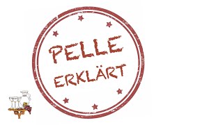 PELLE ERKLÄRT  das GerundiVum [upl. by Yborian595]