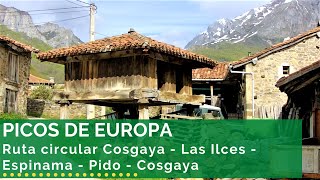 🌄⛰️🌲 PICOS DE EUROPA  Ruta circular Cosgaya  Las Ilces  Espinama  Pido  Cosgaya [upl. by Ranit534]