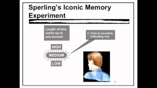 Sensory Memory  VCE Unit 3 Psychology [upl. by Pinchas107]