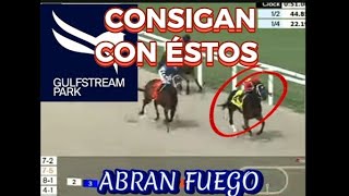 GulfstreamPark  ANOTEN PARA QUE CONSIGAN Domingo 21 Enero [upl. by Vaenfila986]