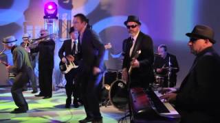 Scottish Ska Function Band  PorkPie  One Step Beyond [upl. by Tamra]