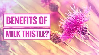 4 Potential Benefits of Milk Thistle [upl. by Ardisi]