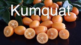 Kumquat Tree  What does it need to be healthy  Grafted Nagami [upl. by Stetson]