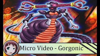 Micro Video 2  Arquetipo Gorgonic  Loquendo [upl. by Anawd]