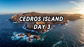 Fishing Cedros Island for Sheepshead and Black Seabass  Pt 35 [upl. by Howes]