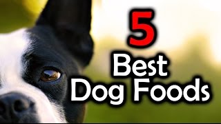 Top 5 Best Dog Foods  Keep Your Dog Healthy [upl. by Ennairek]