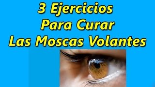 3 Ejercicios Para Curar Las Moscas Volantes [upl. by Sansbury]