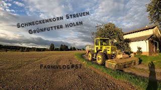 Schneckenkorn streuen  FarmVlog57 [upl. by Sam]