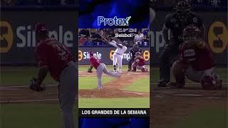 El equipo Protex es Magallanes 🔥⚓️LVBP Beisbol Magallanes LosGrandesdelaSemana Protex [upl. by Arihaz]