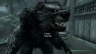 Skyrim  Werebear Gameplay [upl. by Nileek]