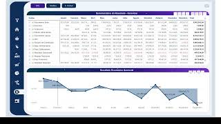 Dashboard de DRE em Power BI do sistema Wiki [upl. by Nasus7]