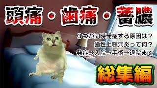 【総集編】頭痛からいろいろ発覚して入院して手術することになった【猫ミーム】 [upl. by Auqemahs]