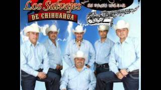 Los Salvajes De Chihuahua La Cumbia Bonita [upl. by Reerg]