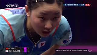 HE Zhuojia vs Miwa HARIMOTO  WS QF  WTT Champions Frankfurt 2024 [upl. by Whipple]