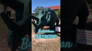 The Ballandean TriCeratops [upl. by Tann]