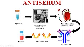 Antiserum An Emergency Tool for Saving Lives [upl. by Wilhide778]