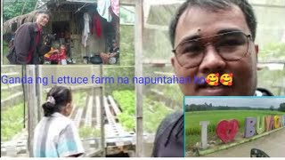 Napadaan kami sa Lettuce Farm at ganda ng view brgy LalagunaBuyacanin [upl. by Mallis]