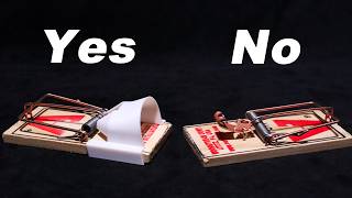 Mouse Trap Hood  How To Make A Mouse Trap Work Even Better Mousetrap Monday [upl. by Cadell]