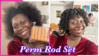 First Attempt at a Perm Rod Set  Type 4 Hair [upl. by Alema]