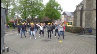 Week van de Valpreventie flashmob [upl. by Eenttirb]