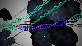 Editar el ADN las quottijeras molecularesquot CRISPRCas9  AFP [upl. by Ardnaid]