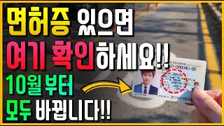 10월부터 운전면허증 있으면 여기 확인하세요 모두 바뀝니다 [upl. by Anaidni]