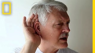 Take the HighFrequency Hearing Test  Brain Games [upl. by Tomasine]