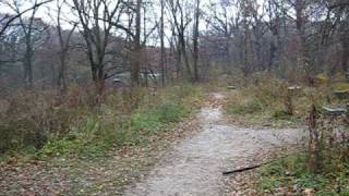 Bachelors Grove Cemetery [upl. by Lewellen796]