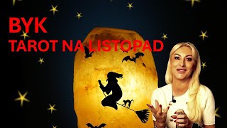 Tarot na listopad 2024♉Byk  czytanie miesięczne✨ [upl. by Ailisab]