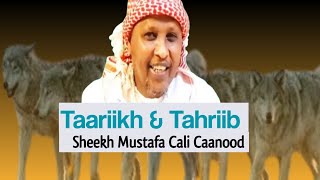 Taariikh amp Tahriib  Sh Mustafa Caanood  Germany 🇩🇪 [upl. by Dever]