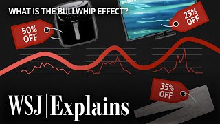 Why Everything Is On Sale The Bullwhip Effect  WSJ [upl. by Eleanor748]