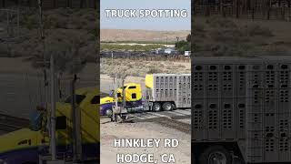 TRUCK SPOTTING 01361  KENWORTH automobile semitrailer trucking [upl. by Plotkin]