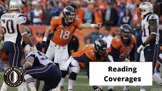 QBs Reading Coverages [upl. by Lardner]