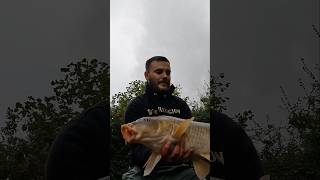 Carp caught on a krill wafter fishing [upl. by Meeka]