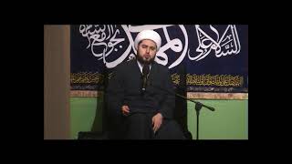 Engaging Western Culture and Customs  Sheikh Mahdi Rastani [upl. by Gran152]