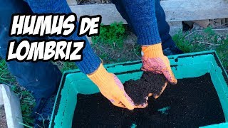 Nunca Más Tirarás Verdura a la Basura  Humus de Lombriz 💩  La Huerta de Ivan [upl. by Audres]