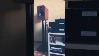 QAcoustics 3020i and Rotel cd11mk2 A11 Tribute Recomposed by Max Richter Vivaldi SPRING [upl. by Mixam699]