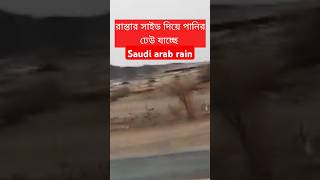 সৌদির বৃষ্টিতে সব ভাসিয়ে নিচ্ছে। Saudi arab rain।Habibiforyou shorts habibi trending viralvideo [upl. by Ateikan]