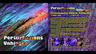 Perturbations  Unhinged final audio [upl. by Asoramla]