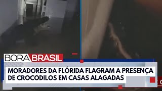 Crocodilos são flagrados em casas alagadas após passagem do Furacão Milton I Bora Brasil [upl. by Zsa Zsa]