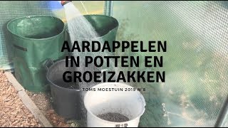 TM198  Aardappelen in potten en zakken  deel 1 [upl. by Kurys]