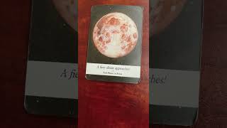 368 Pisces  Moonology Oracle Message [upl. by Devinne]